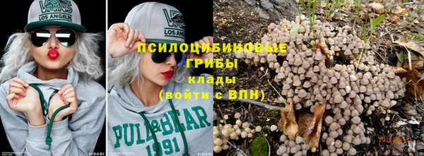 соль курить ск Каменногорск