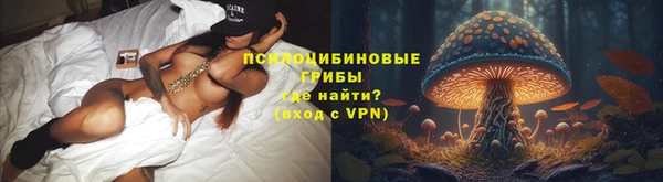 шишки Алексин