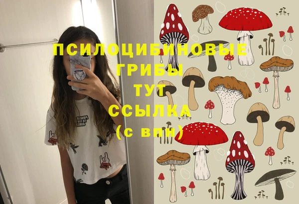 гашик Иннополис