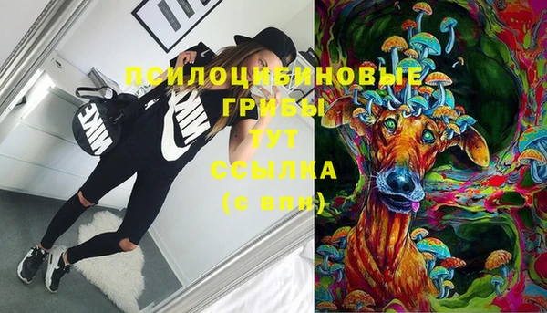 прущая мука Абаза