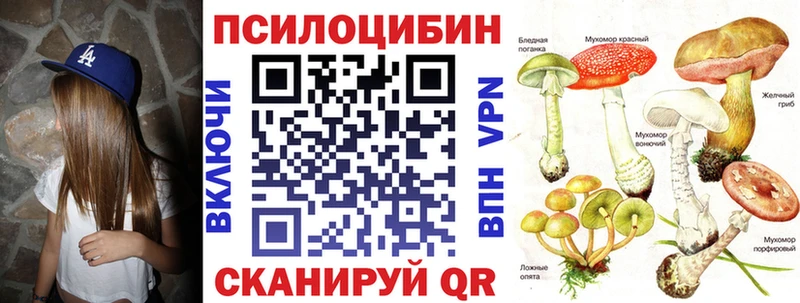 Галлюциногенные грибы Psilocybe  Шлиссельбург 
